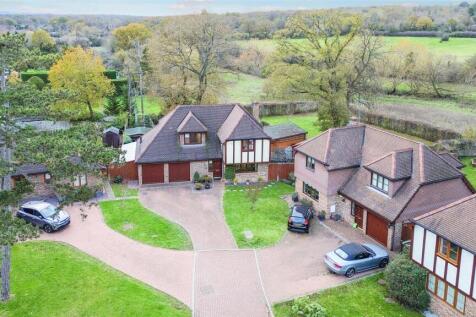 1577763541 -  Rye Field -21.jpg