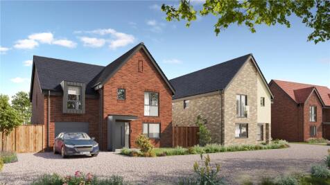 Plot 5
