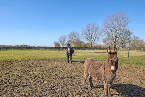 Paddocks