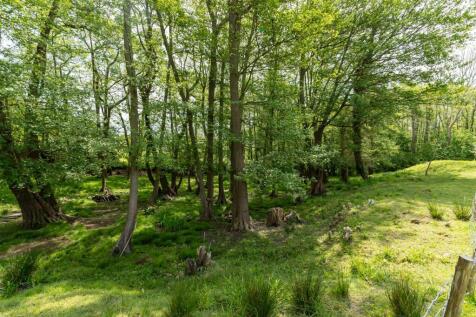 Property Image 30