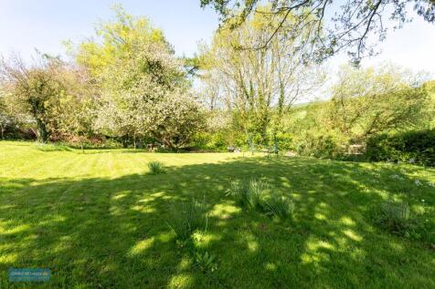 Phoenix House - Garden