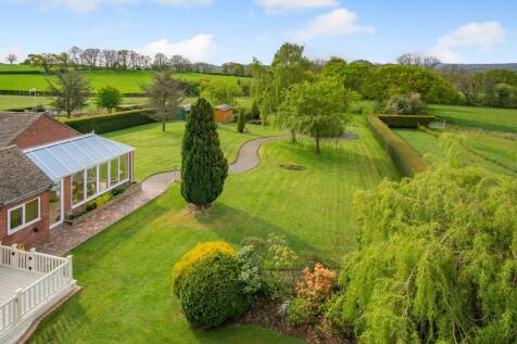 Garden to rear