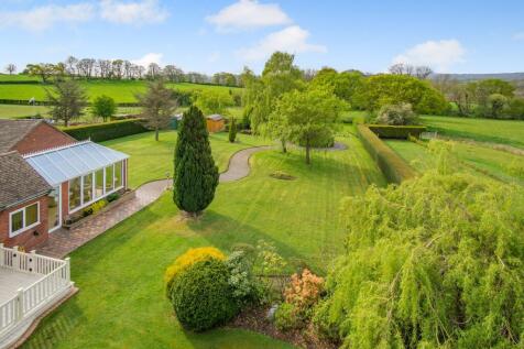 Garden to rear
