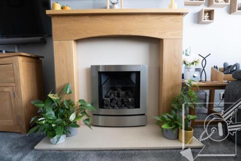 Feature Fireplace
