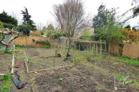 Vegetable Plot