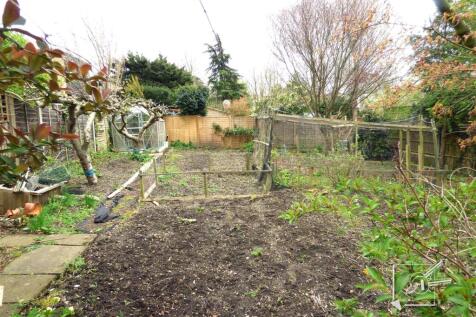 Vegetable Plot
