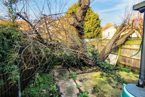 Rear Garden.jpg