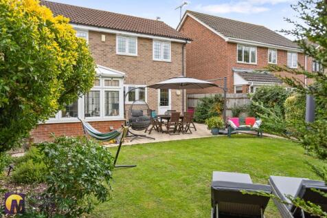 Robinclose-26.jpg