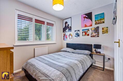 Robinclose-5.jpg