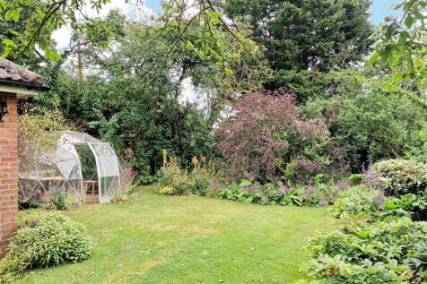 Garden 3.jpg