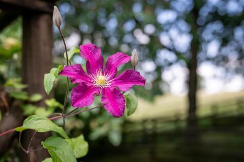 250618 - The Farmhouse, Latchford - 48.jpg