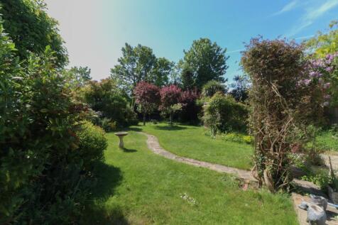 Picture 8