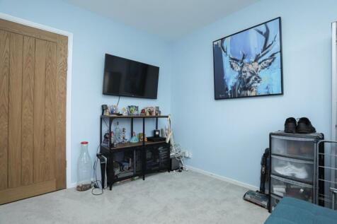 Picture 14