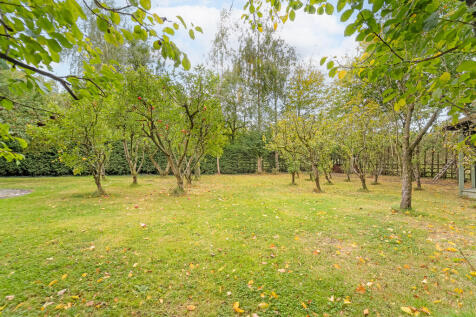 orchard