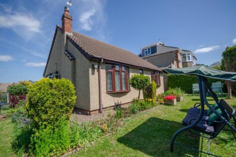 Front garden.jpg