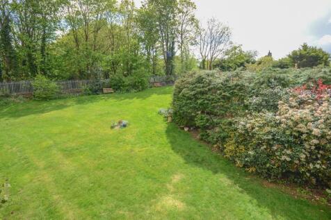 view of communal garden.jpg