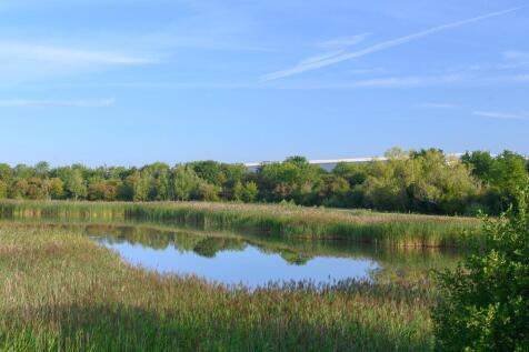 Lake.jpg