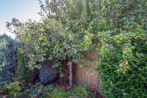 Apple &amp; pear trees.jpg