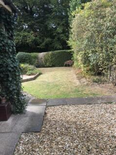 Front garden.jpg