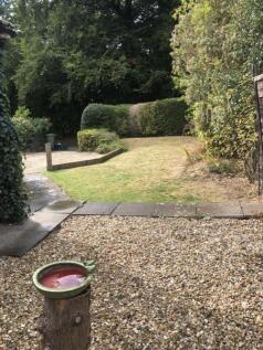 Front garden pic 2.jpg