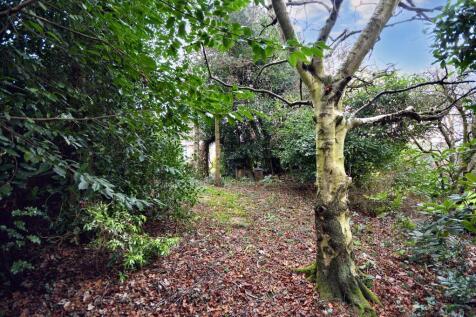 Rear Gardens