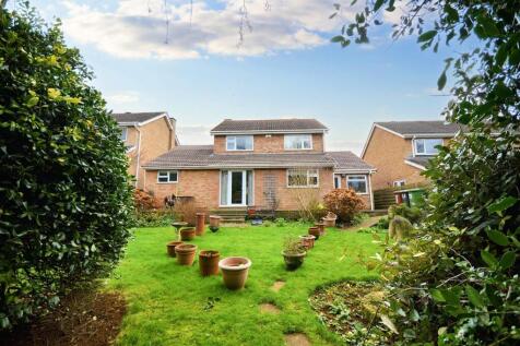 Rear Gardens