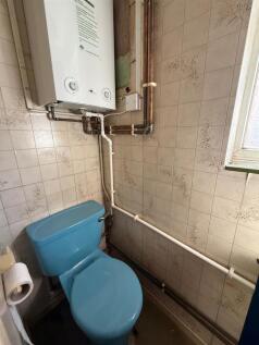 IMG_1176.jpeg