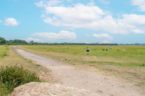 Port meadow 
