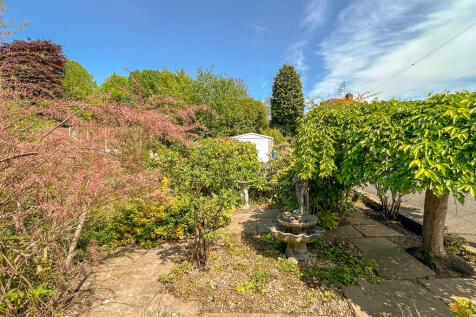 front garden look...