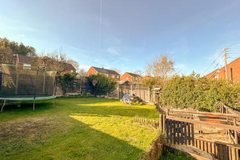 garden 1