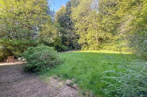 garden 1
