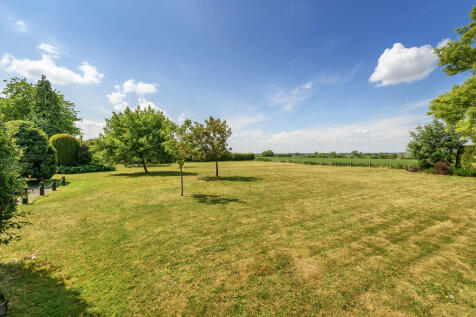garden 1