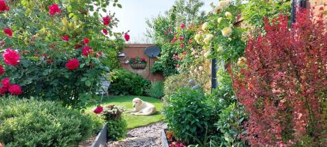 Property Image 22