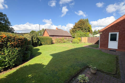 garden 1
