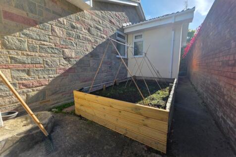 Veg Plot