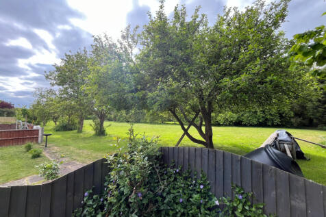 Orchard