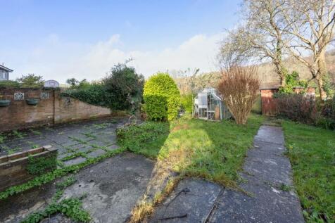 rear garden (2).jpg