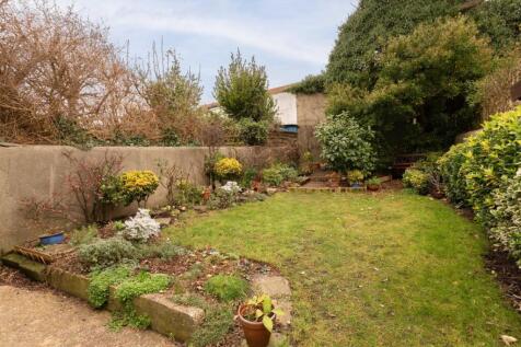 shared garden (1).jpg