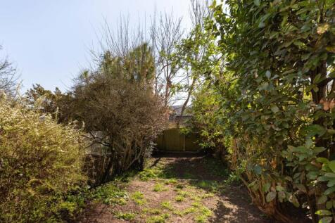garden (2).jpg