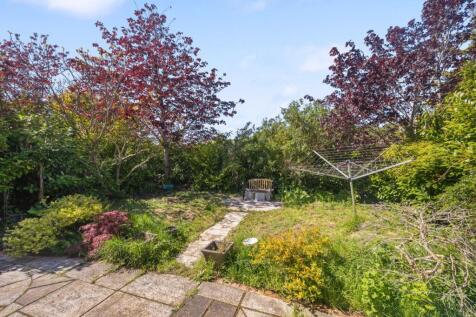garden (2).jpg