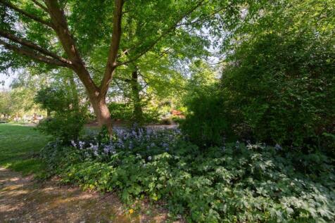 shared gardens (5).jpg