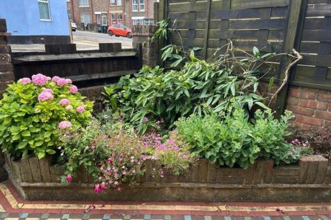front garden