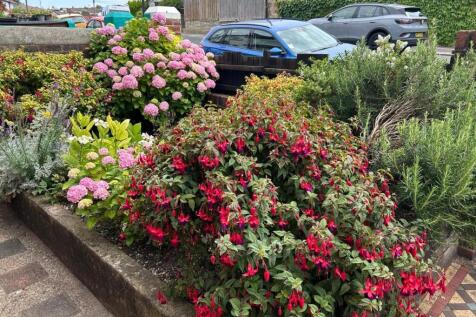 front garden