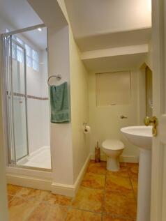 Basement shower 