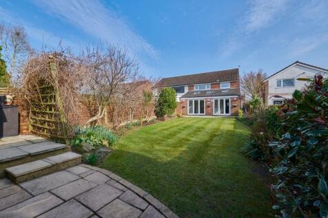 Property Image 17
