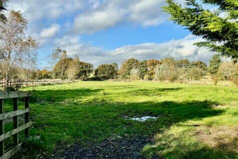 Field