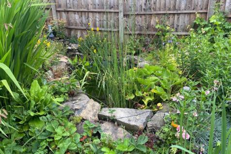 Property Image 20