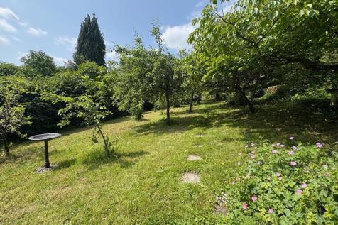 Side garden 2