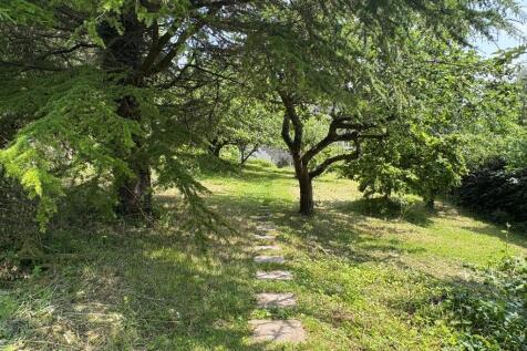 Garden 5