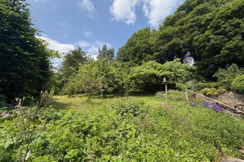 Garden 6